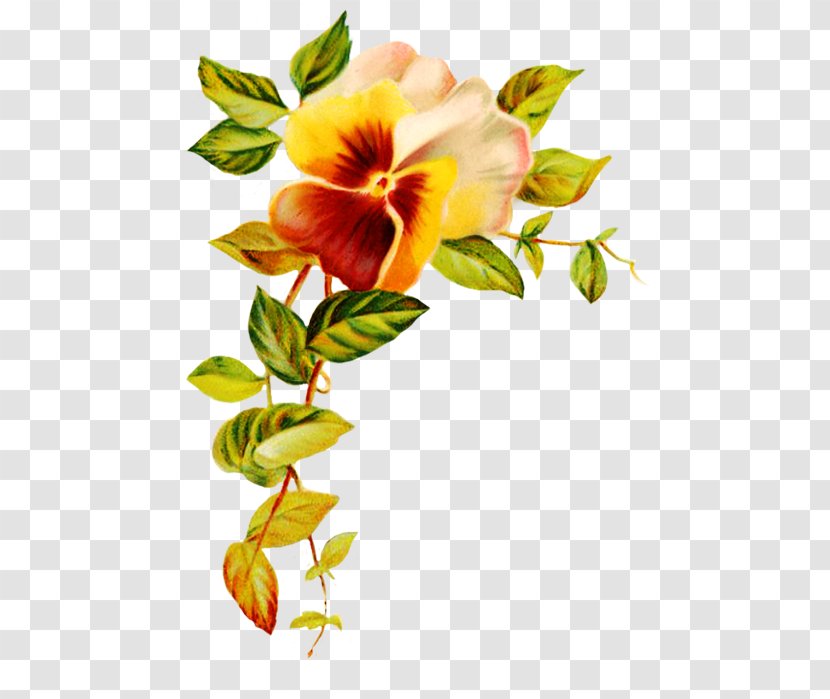 Floral Wedding Invitation Background - Birthday - Pedicel Plant Stem Transparent PNG