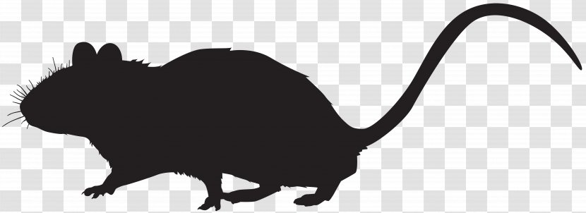 Mouse Silhouette Cat Photography Clip Art - Rodent - Sillhouette Transparent PNG