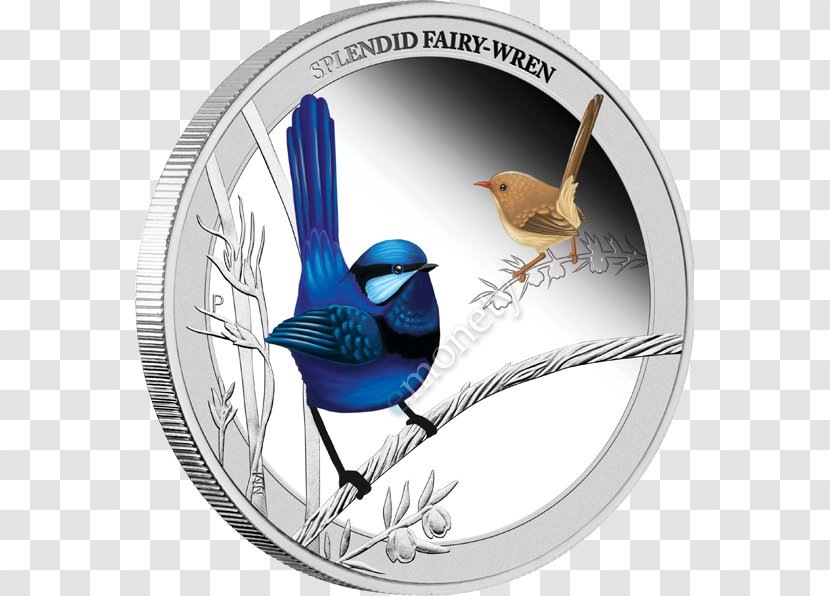 Perth Mint Bird Budgerigar Splendid Fairywren - Beak Transparent PNG