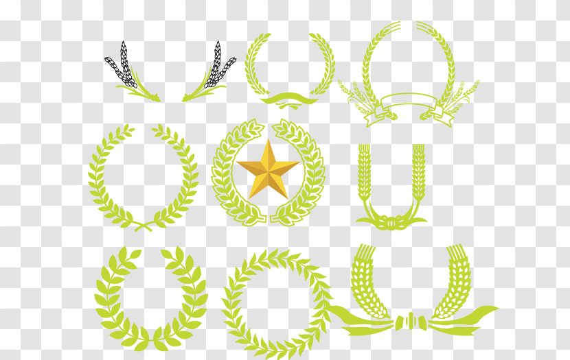 Olive Wreath Euclidean Vector - Symmetry - Hand-painted Wheat Transparent PNG
