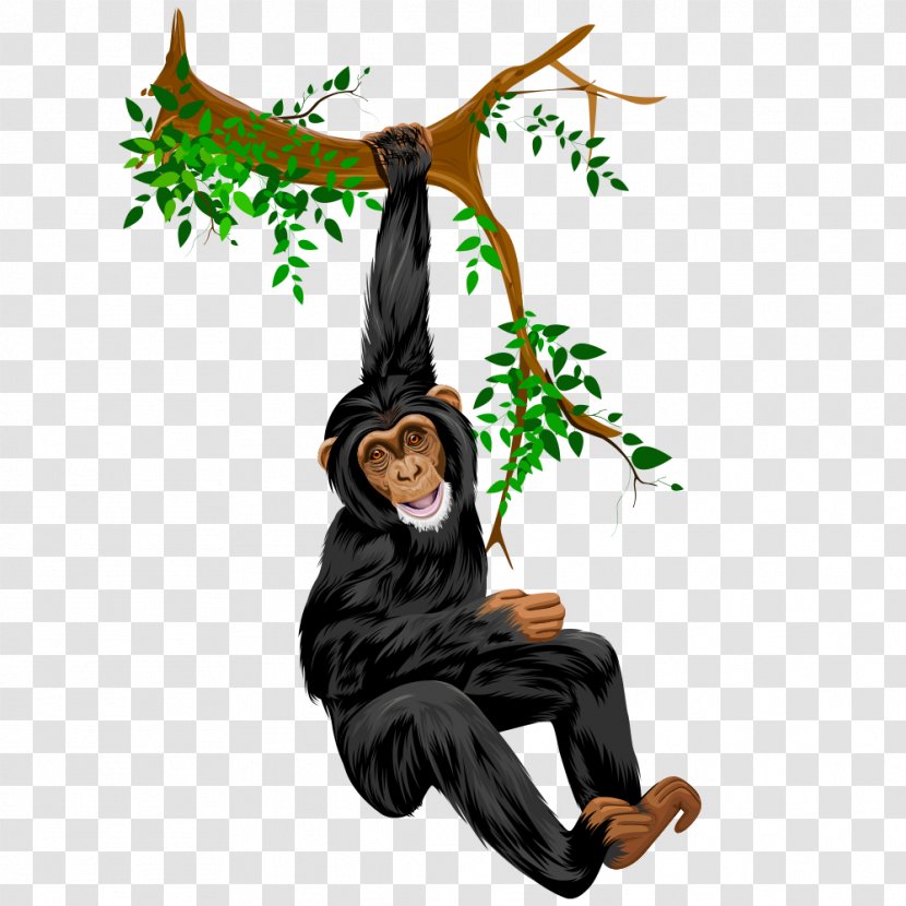 Orangutan Drawing Comics - Cartoon - Tree Branch Transparent PNG