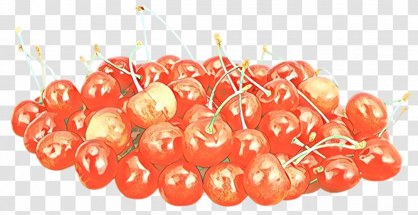 Pie Cartoon - Cherries - Superfruit Solanum Transparent PNG