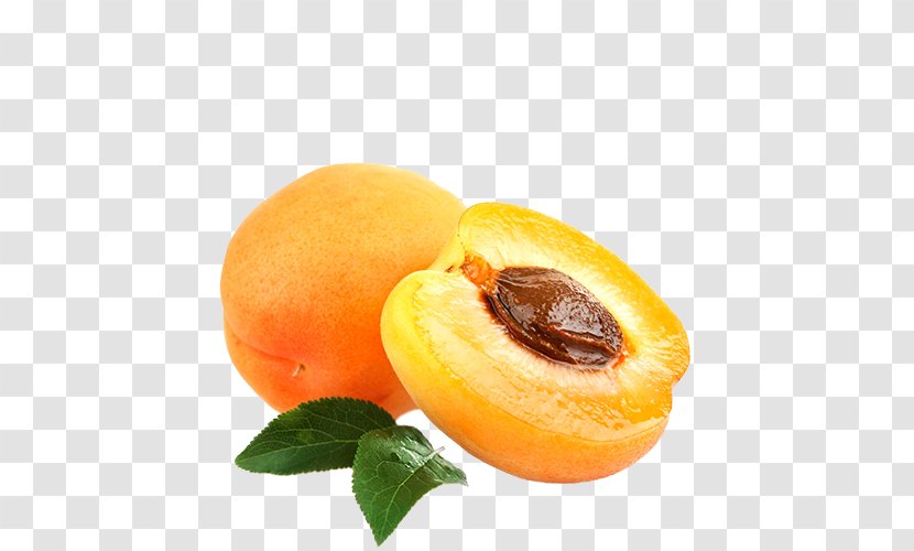 Fruit Food European Plum Plant Apricot - Tree - Ingredient Peach Transparent PNG