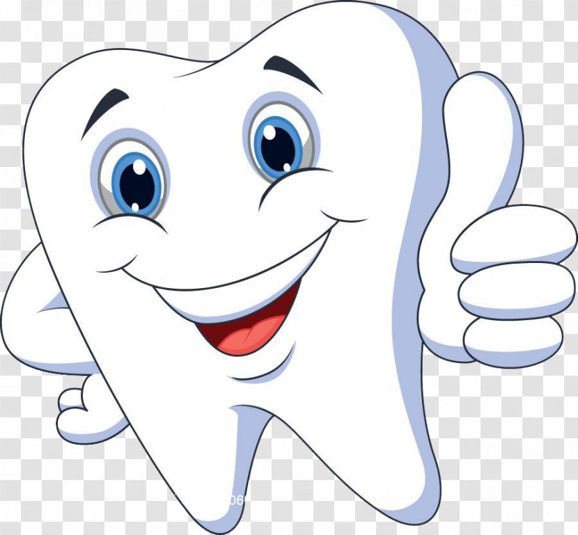 Human Tooth Cartoon Clip Art - Tree - Bang Bang's Teeth Transparent PNG