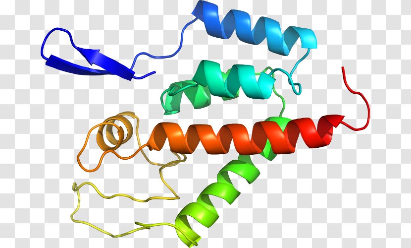 Clip Art Organism Line Animal - P24 Capsid Protein Transparent PNG