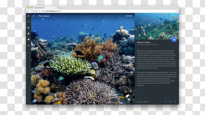Coral Reef Catlin Seaview Survey The Ocean Agency Marine Biology - Downward Spiral Transparent PNG