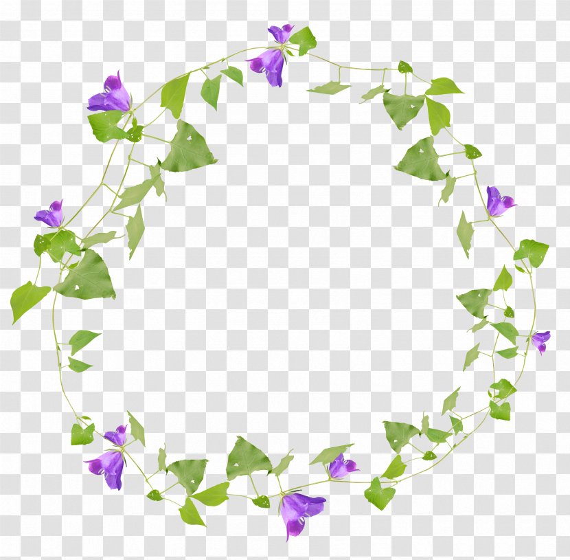 Floral Design Flower Illustration - Border - Grass Ring Transparent PNG