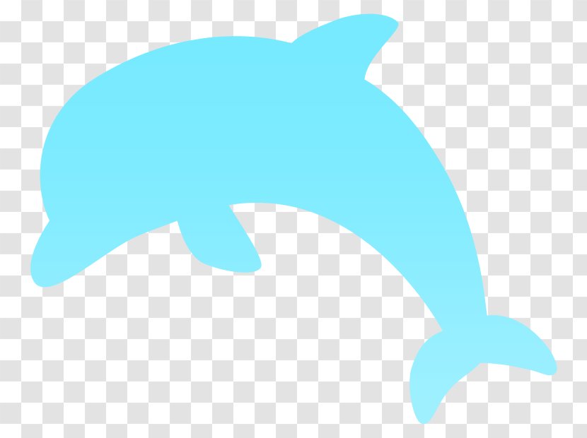 Common Bottlenose Dolphin Tucuxi Porpoise Clip Art - Clipart Download Transparent PNG