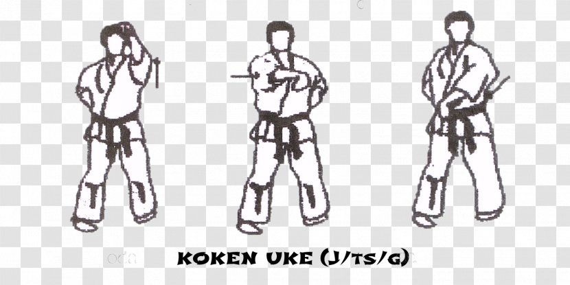 Taikyoku Kyokushin Pinan Kata Tsuki - Fashion Transparent PNG