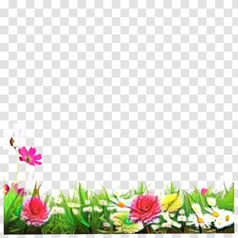 Floral Flower Background - Wildflower - Petal Plant Transparent PNG