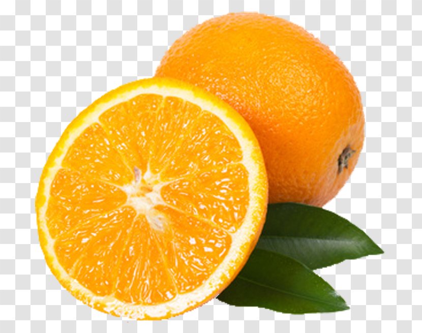 Blood Orange Tangerine Fizzy Drinks Carrot Mandarin - Grapefruit - Pop Transparent PNG