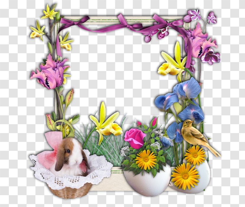 Easter Egg Passover Vigil - Petal - Frame Transparent PNG