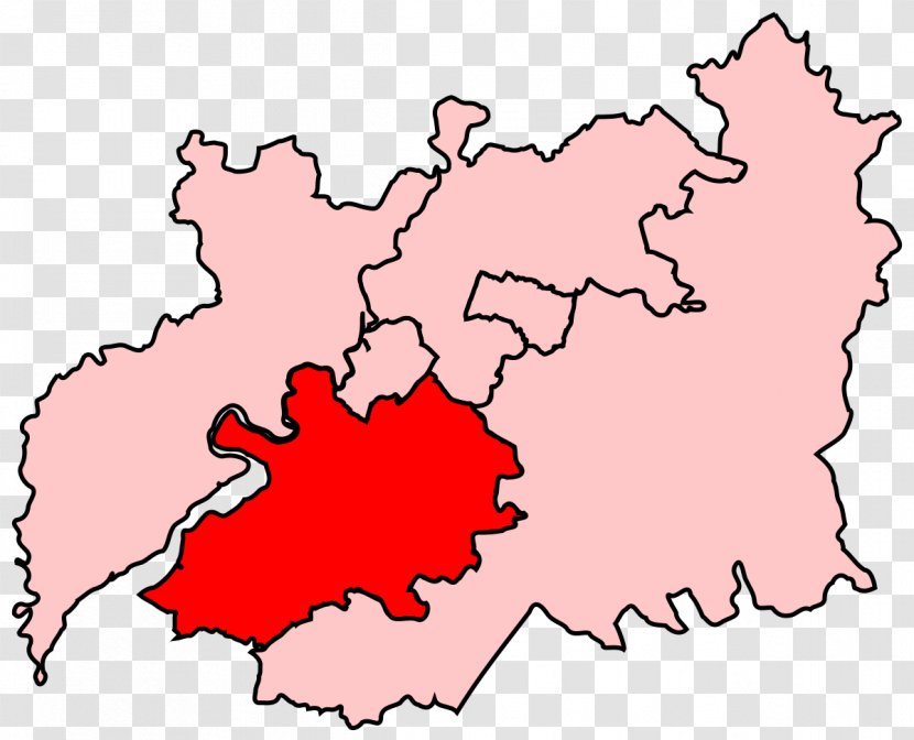Stroud Pinsk Wikipedia Encyclopedia Electoral District - Leaf - David Henrie Transparent PNG