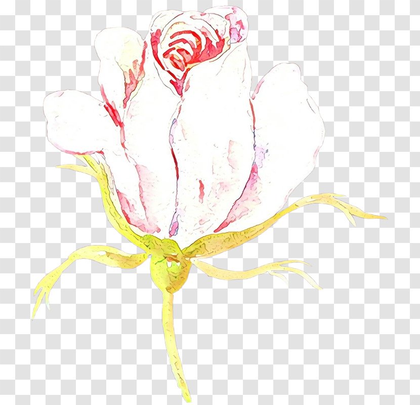 Drawing Of Family - Tulip - Plant Transparent PNG