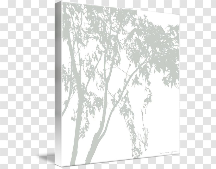 Twig Leaf Line White Flower - Tree - Acer Palmatum Thunb Transparent PNG