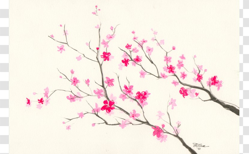 Cherry Blossom Drawing Pencil Sketch - Spring - Sakura Flower Transparent PNG