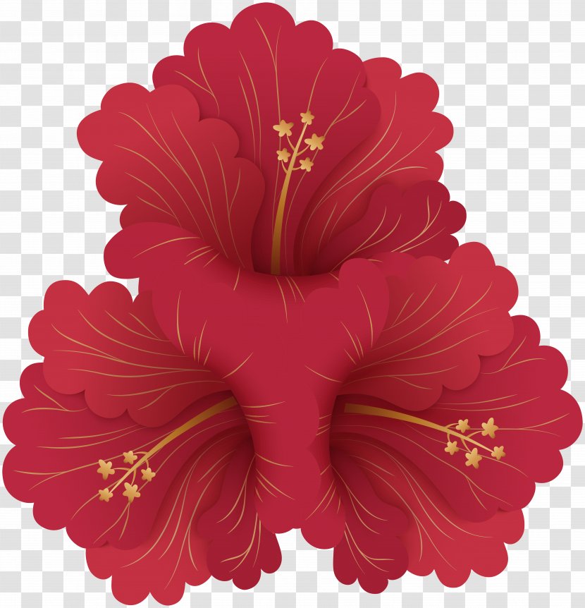 Blog Shoeblackplant Clip Art - Flower - HYBISCUS Transparent PNG