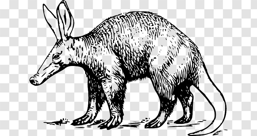 Aardvark Clip Art Openclipart Anteater Vertebrate - Organism - Pangolin Scales Transparent PNG