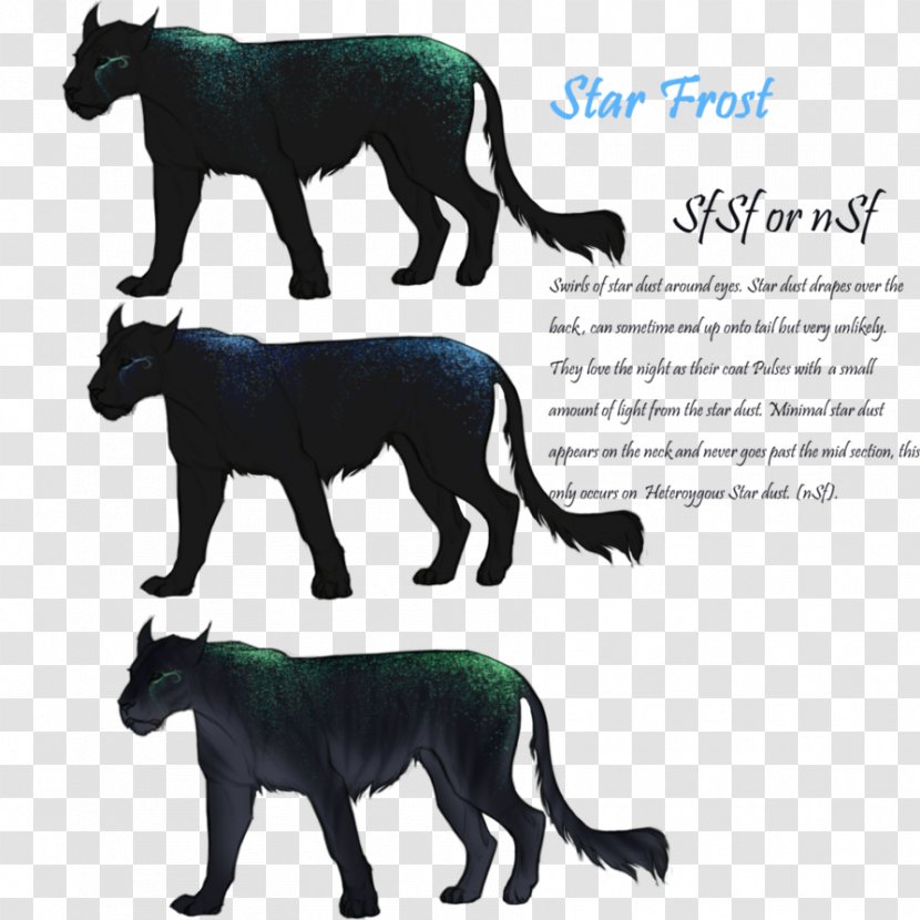 Dog Cattle Horse Mammal - Big Cat - Star Dust Transparent PNG