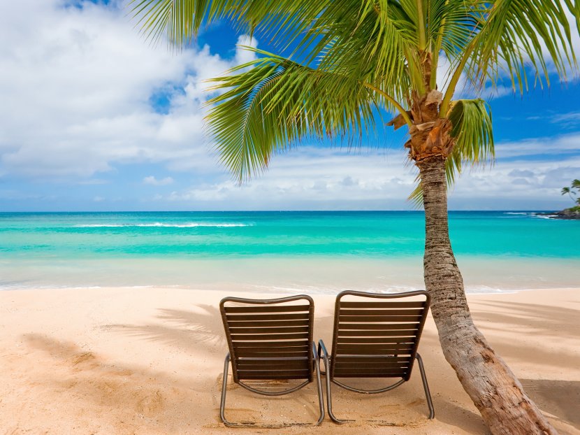 Desktop Wallpaper Beach Summer Vacation - Display Resolution - Beaches Transparent PNG