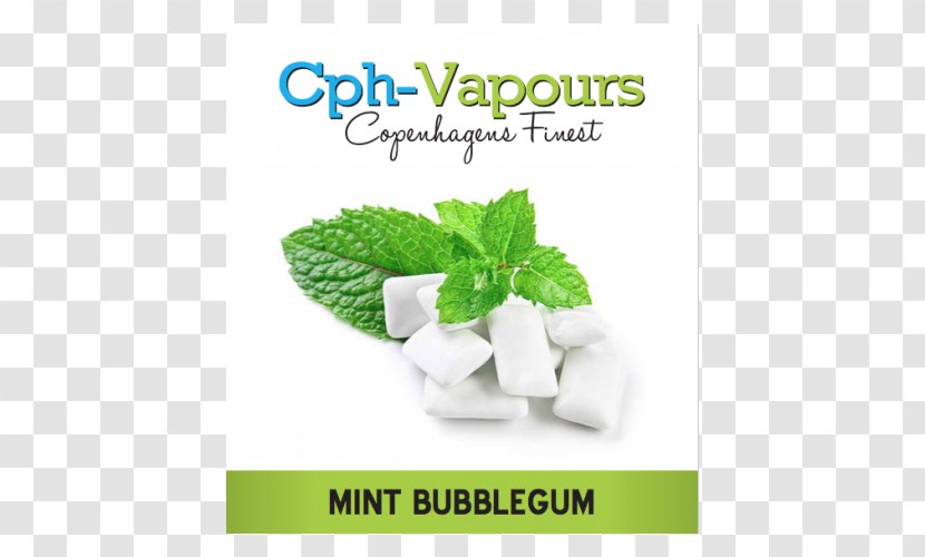 Chewing Gum Peppermint Mentha Spicata Bubble Transparent PNG