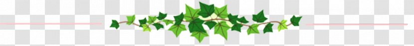 Wheatgrass Desktop Wallpaper Leaf Close-up Plant Stem - Computer Transparent PNG