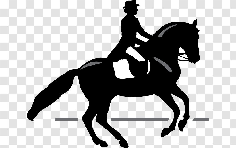 Horse Dressage Equestrian Equitation Clip Art - Sport Transparent PNG