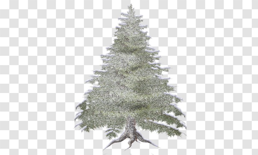 Spruce Forest Tree Clip Art - New Year Transparent PNG