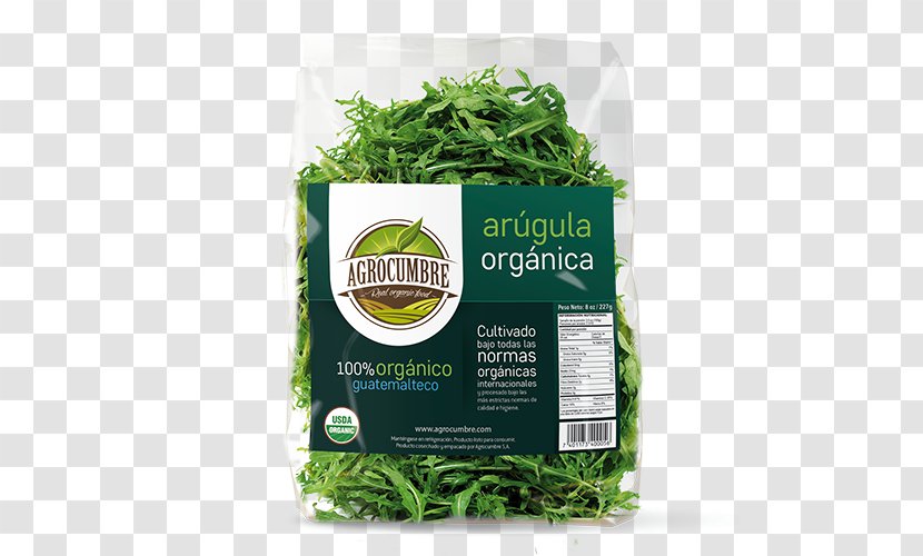Leaf Vegetable Herb Natural Foods - Superfood - Roquette Transparent PNG