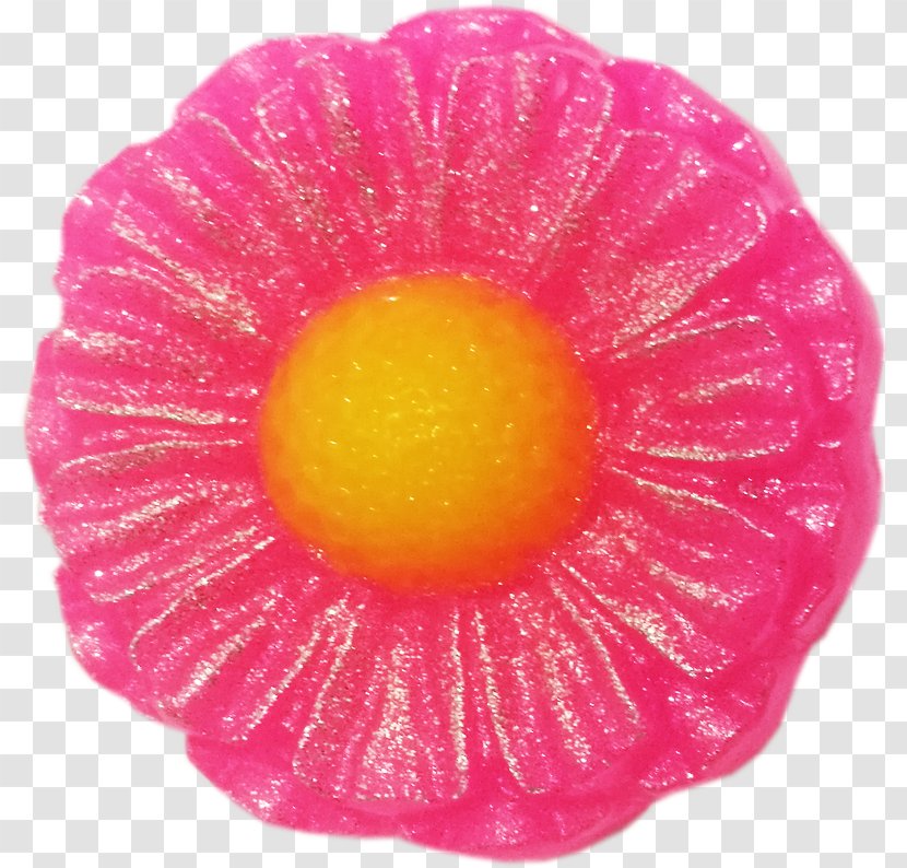 Pink M - Petal Transparent PNG