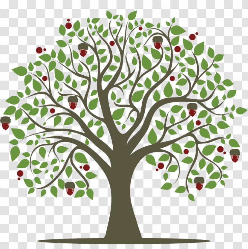Twig Tree Sociology: The Basics Oak Transparent PNG