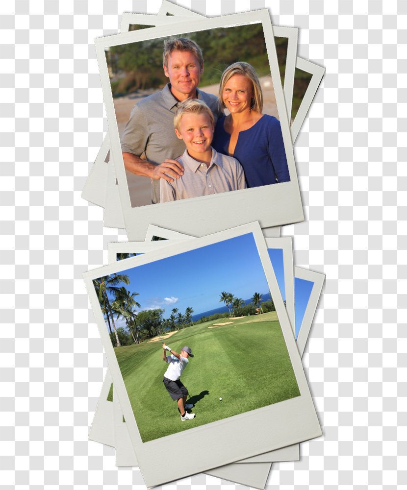 Celebrity Brownell Hosting Email Travel - Grass - Photographic Paper Transparent PNG