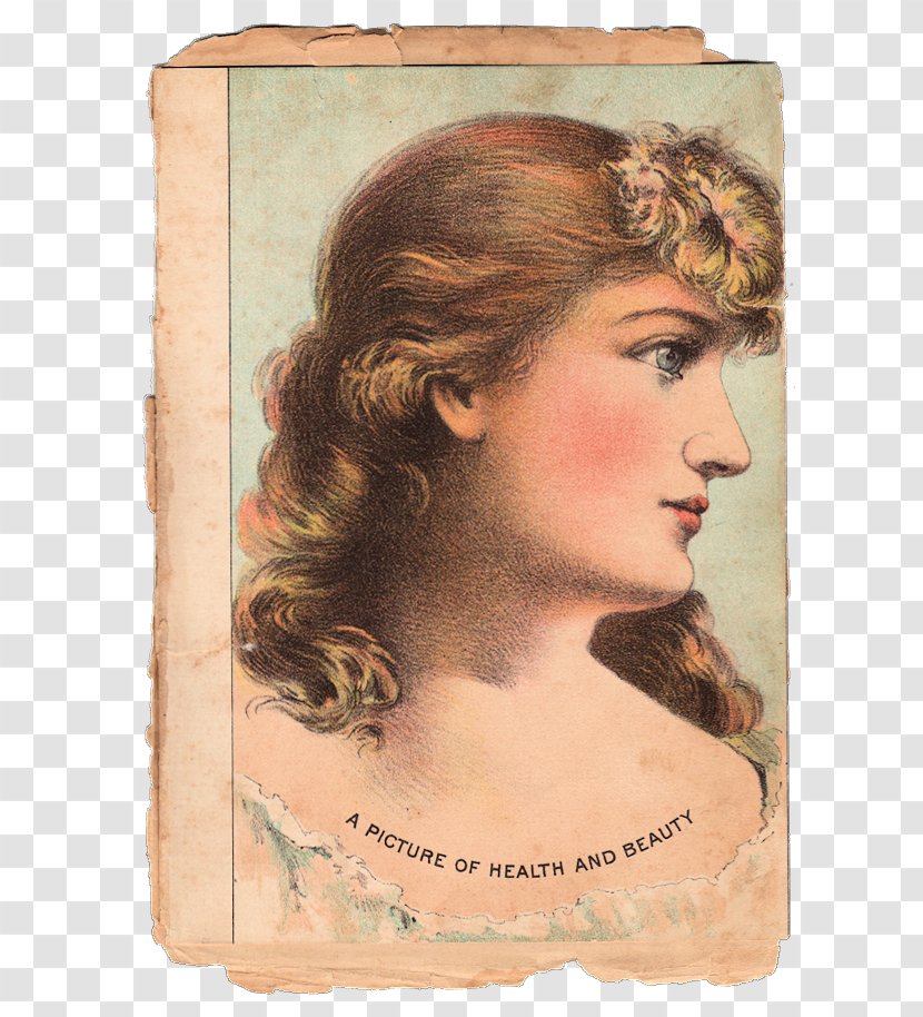 Victorian Era 19th Century Woman Beauty Graphics - Cheek Transparent PNG