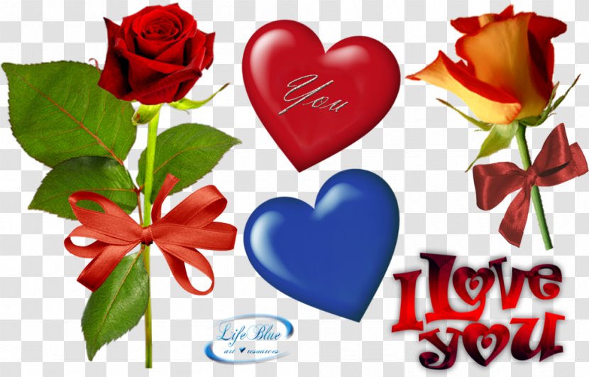 Garden Roses Cut Flowers Artificial Flower - Valentine S Day Transparent PNG