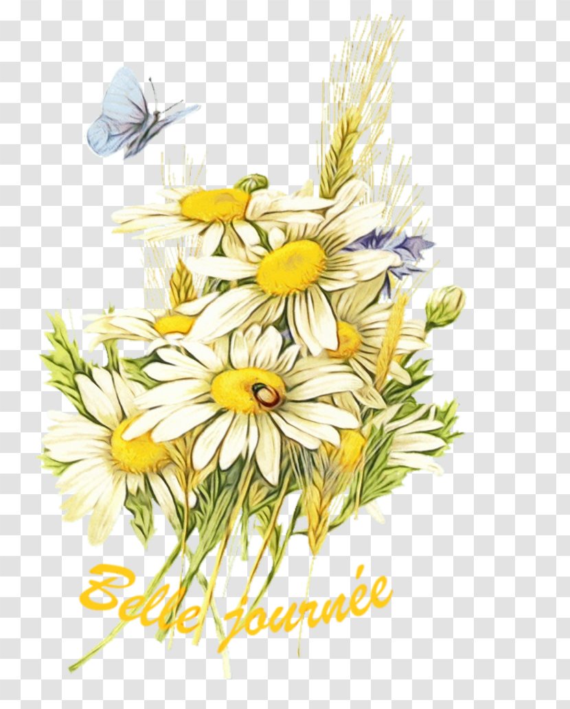 Clip Art Flower Image Oxeye Daisy - Yellow Transparent PNG