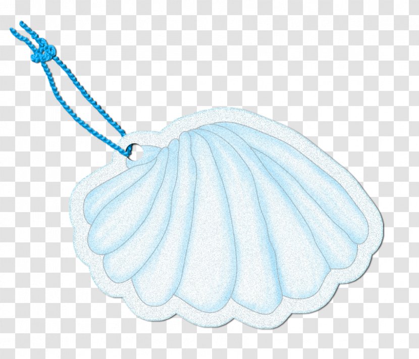 Great Scallop Seashell - Vecteur - Jewelry Transparent PNG