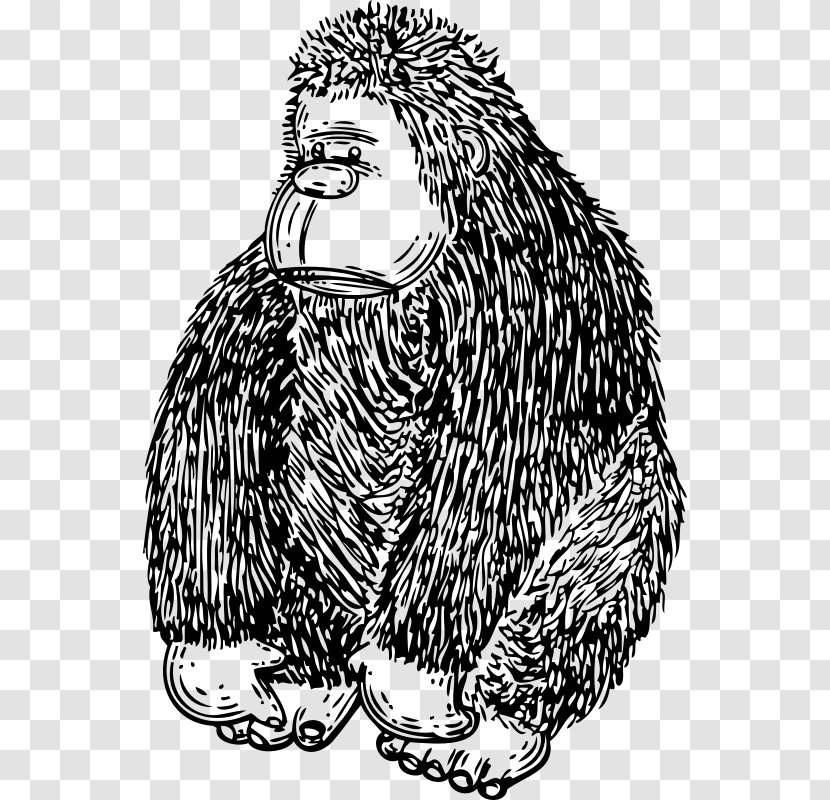Gorilla Download Clip Art - Drawing Transparent PNG