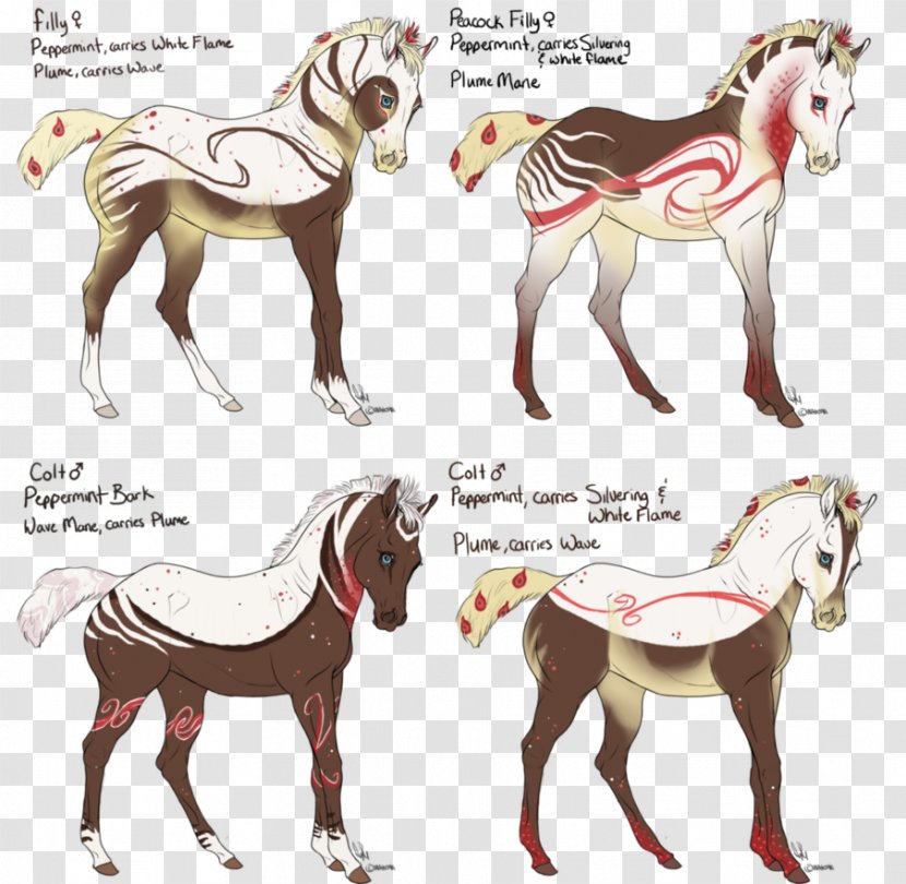 Foal Mustang Stallion Colt Mare - Horse - Pepermint Transparent PNG