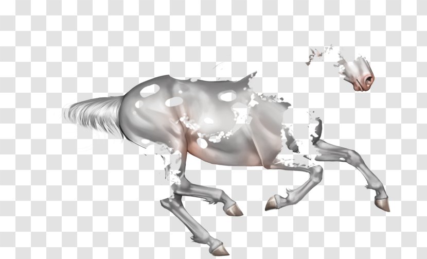 Horse Decapoda Sterling Silver Pound - Organism Transparent PNG