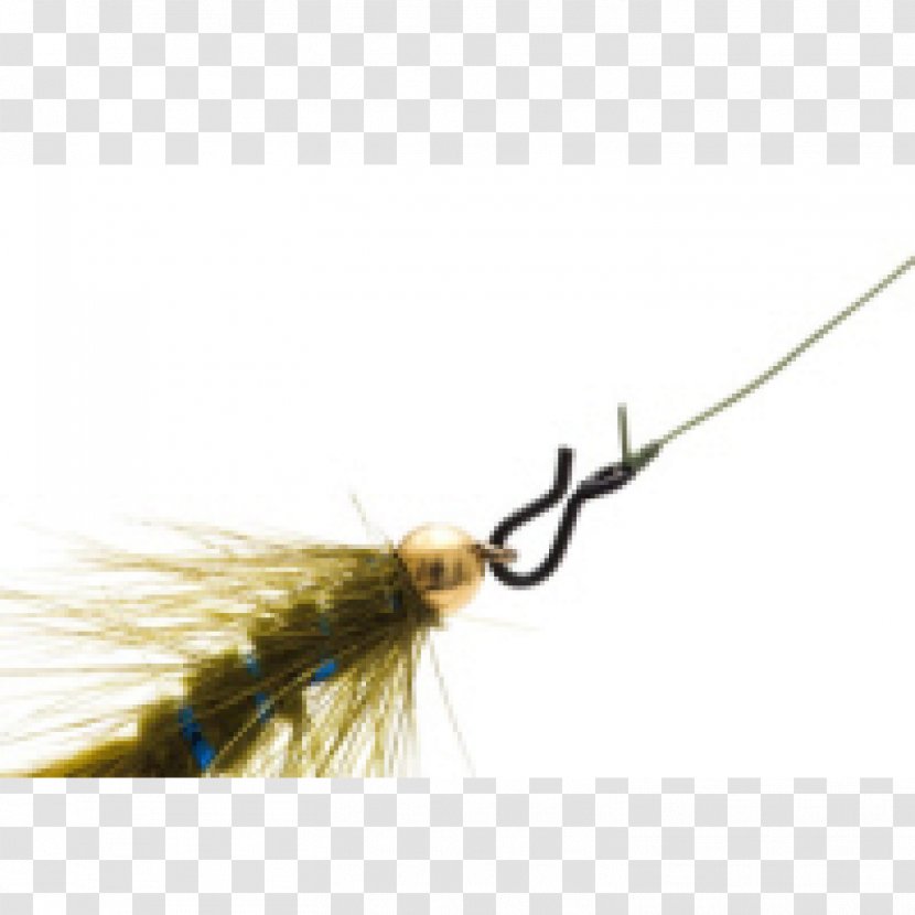 Artificial Fly Knot Fishing .no Fish Hook Transparent PNG