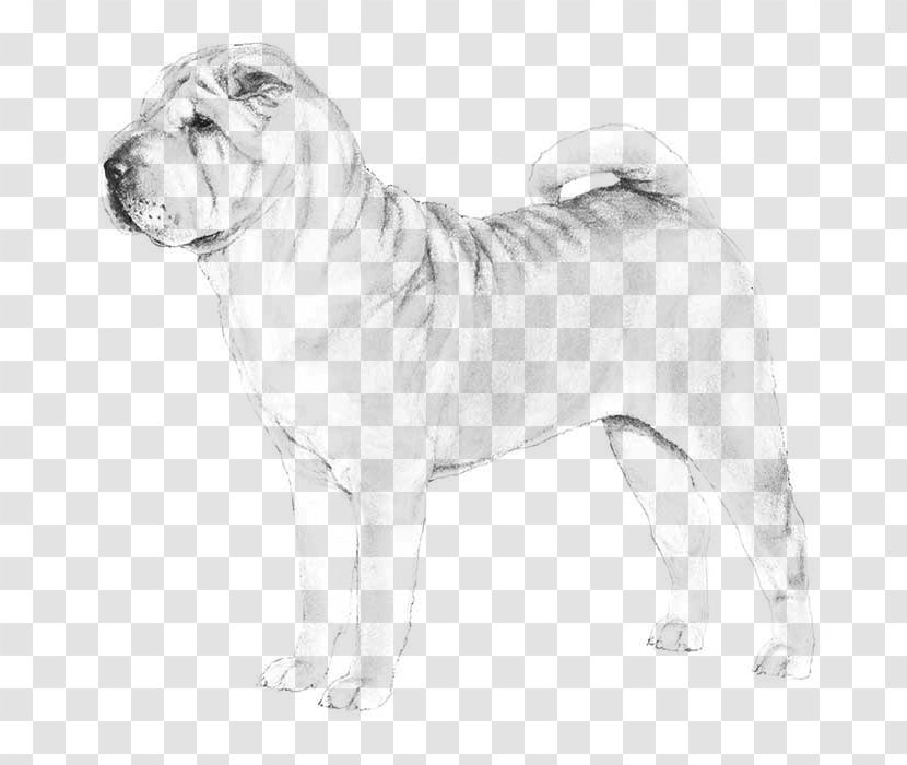 Shar Pei Dog Breed Chow The Chinese Shar-Pei Puppy - Black And White Transparent PNG