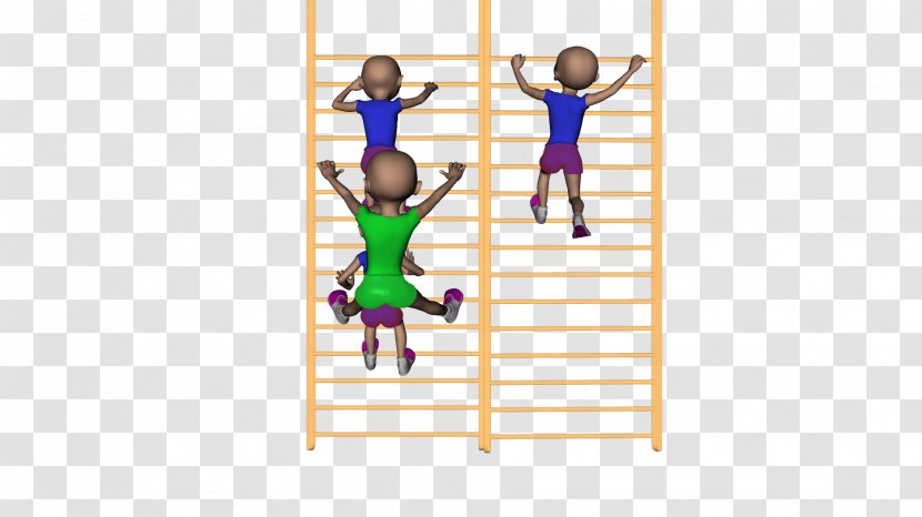 Line Physical Fitness Angle Material Transparent PNG