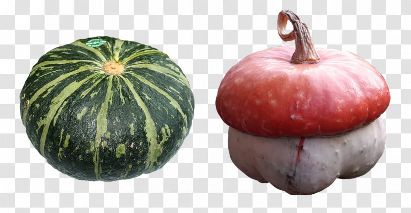 Korokke Vegetable Kabocha Pumpkin Food - Cucumber Gourd And Melon Family - Green Vegetables Transparent PNG