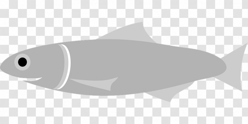 Fish European Anchovy Drawing Clip Art Transparent PNG