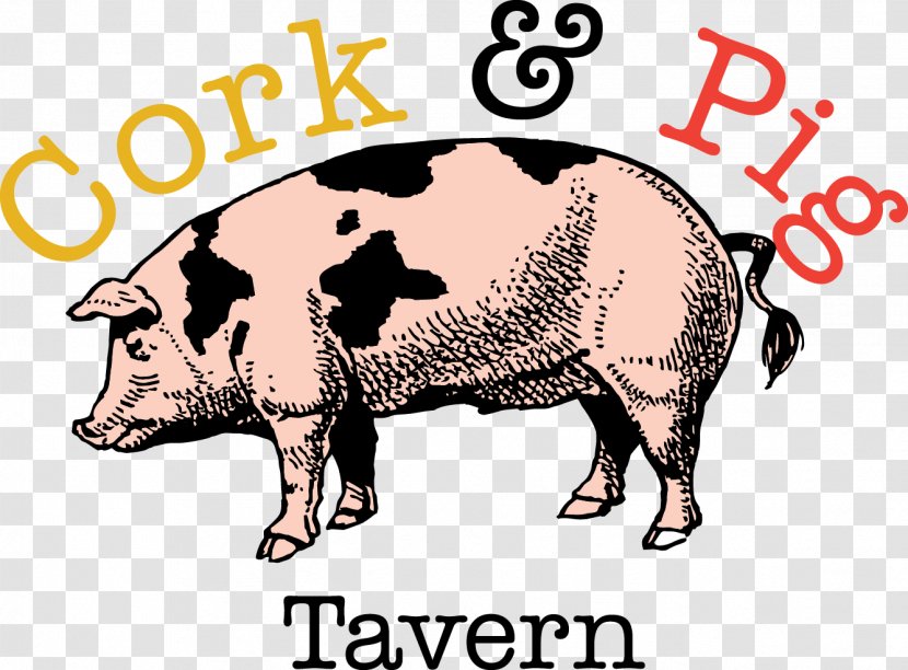 Domestic Pig Ox Cork & Tavern Cattle - Snout Transparent PNG