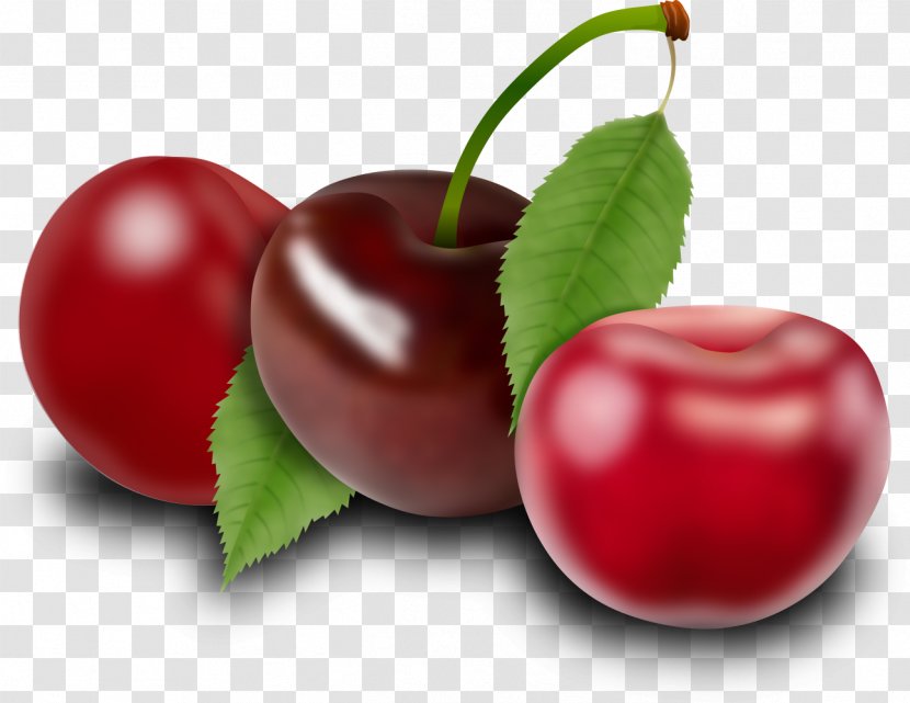 Barbados Cherry Cranberry Fruit Food - Malpighia - Fresh Cherries Transparent PNG