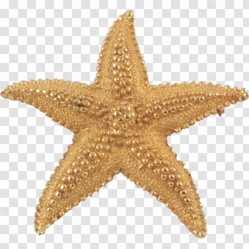 Starfish Marine Invertebrates Gold Echinoderm Transparent PNG