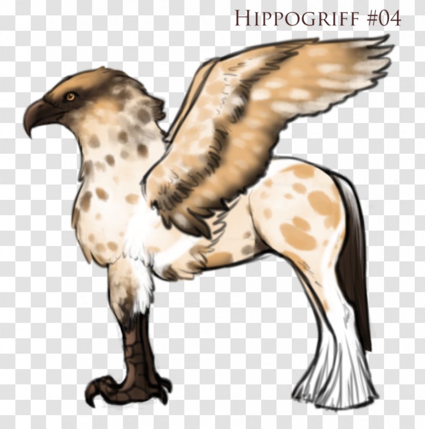 Hawk Wildlife Beak Neck - Hippogriff Transparent PNG