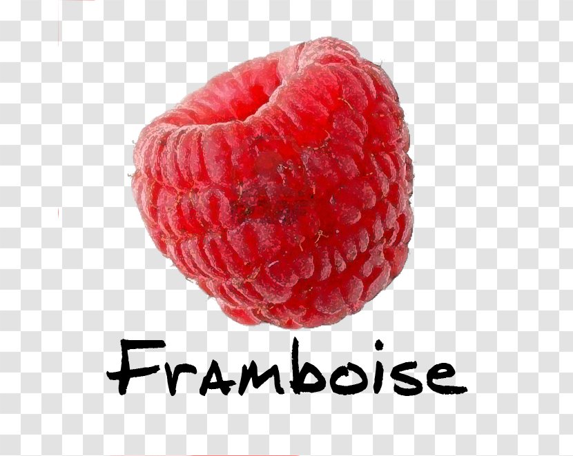 Raspberry Pi Auglis - Frutti Di Bosco - Framboise Transparent PNG