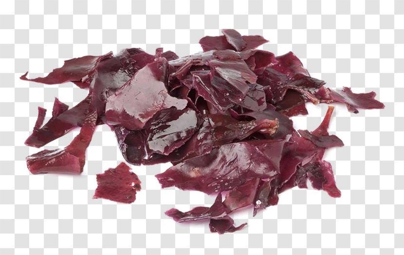 Dulse Seaweed Health Food Vegetable Transparent PNG